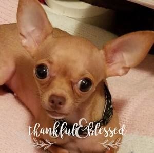 Meet your Posher, Joyce an keith